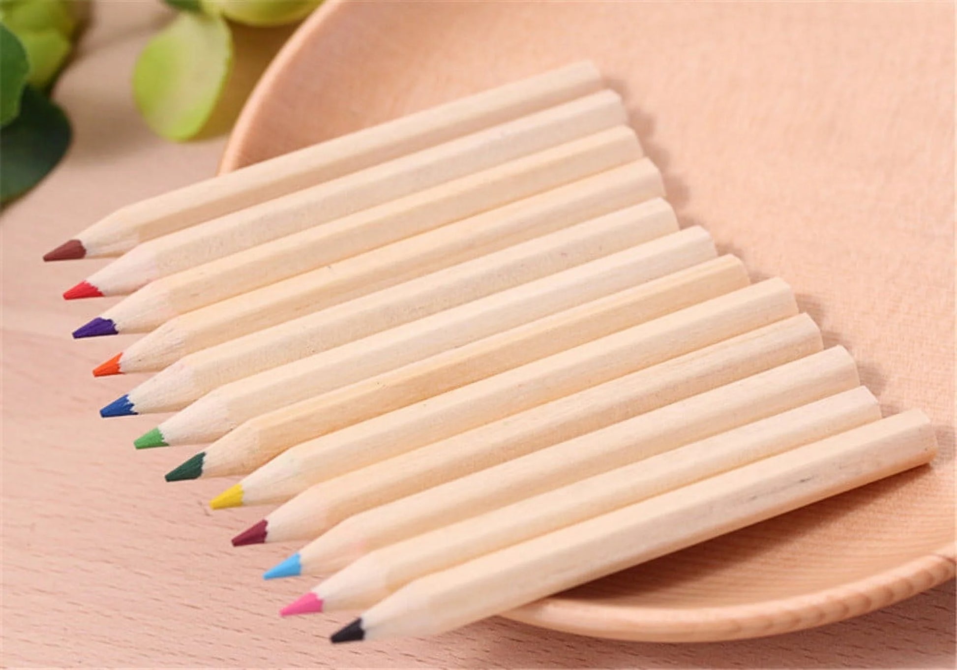 Colored Pencils Back to School Supplies Back to School Supplies Color Pen Pencil Small Pencil Painting 12 Color Office Stationery Office Supplies